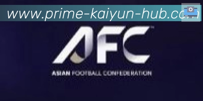开云体育合作伙伴
